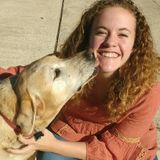 Collegiate Dog Walker Searching for Work
