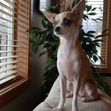 In Home Nanny Wanted in Nelson BC November 6 to 10th
