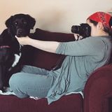 Present Pet Sitting Available Now!