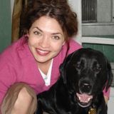 Love dogs! everything about the love bugs.
