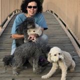 Seeking Tucson House and Petsitter Opportunity
