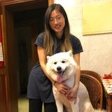 Dog sitter and walker