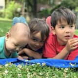Seeking wonderful part-time nanny in the Junction neighbourhood in Toronto for three boys (18 months, 4 years, 6 years)