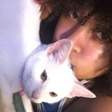 House/Pet Sitter Willing to Travel, Reliable Transportation