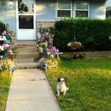 Interested In a House and Plant Sitter Job in Milwaukee