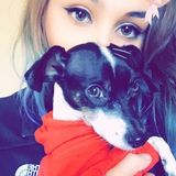 I am a enthusiastic animal lover looking for an opportunity to take care of your fur babies!