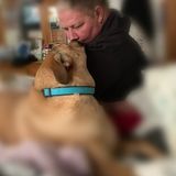 Available: Dedicated Dog Walker in Ocala