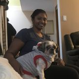 Care For Any Pet