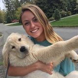 Interested In a House Sitting Service Provider Job in Harrisonburg
