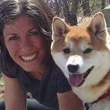 Available for walks, hikes and drop-in visits in Hackettstown, New Jersey. Your dog and I will run, play & be great friends!