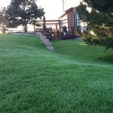 Angelo's Landscaping builds your dream yard you want. Specialized in turf.