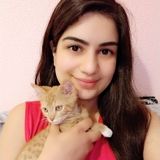 Stockton Pet Sitter - Experience with Cats, Rabbits