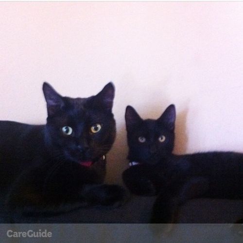 Pet Care Job Kirstie Scott's Profile Picture