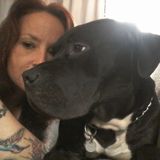Qualified and Dependable Pet Sitter - Available Immediately Very Knowledgeable and Responsible - The Support You Need