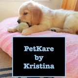 Need someone to look after your pets? I'm here to help!