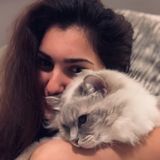 Looking for Seasoned Cat Sitting Professional in Columbia