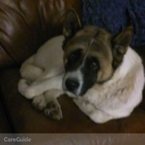 Pet Care Provider Noah Graves's Profile Picture