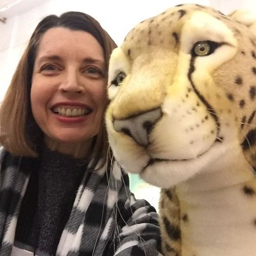 House Sitter Provider Anne Y's Profile Picture