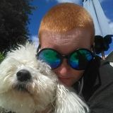 Experienced Dog Walker and Pet Sitter