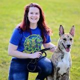 For Hire: Dedicated/Experienced Dog Lover in Bangor, Maine