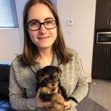 Careful Child Carer for Your Home