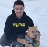 Stuart House and Pet Sitter Available For Job Opportunities
