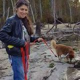 Nurse/vet tech