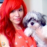 Enjoys the company of many dogs!