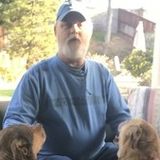 Experienced and Available Immediately! I will take care of your pets like they are my own!