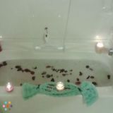 Professional Quality Spotless Cleaning!