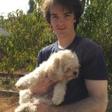 Pet Sitter available anytime!