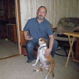 VeteranFor Hire: Love my dog,and will show the samelove to yours in Wallingford