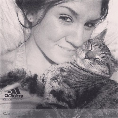 Pet Care Provider Taylor Hatfield's Profile Picture