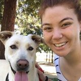 Available: Present House and Pet Sitter in San Jose