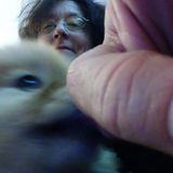 Polite Pet Sitting Professional in Virginia Beach, Virginia