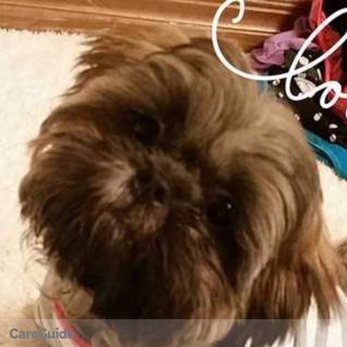Pet Care Provider Jeanne Ball/Sleik's Profile Picture