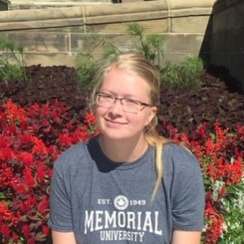 Pet Care Provider Bethany K's Profile Picture