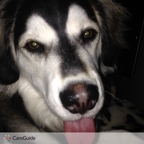 pet sitter lancaster, ca