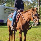 Seeking Vero Beach Overnight Sitter Opportunity