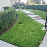 Im Jose supervisor for a landscape company. Im starting my own company to Keep a beautiful garden and keep clients happy