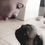 Pet Sitter
