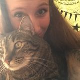 Pet sitting and care