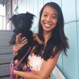 Experienced in dog sitting, cuddling, and training :)