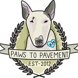 Experienced Dog Walker & Pet Sitter in Eagle Rock