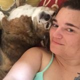 Pet sitter