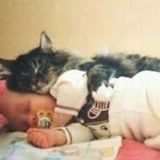 I am Ariana T (age 14) and I want to be Mother's Helper and/or Babysitter. Have CPR lessons & "Safe Sitter" certifacate.