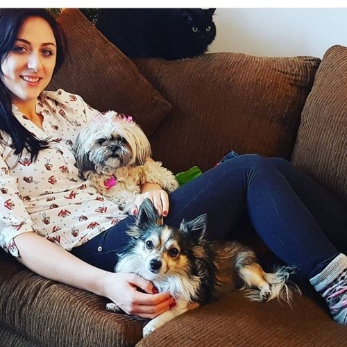 House Sitter Provider Tamara N's Profile Picture