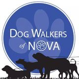 Trustworthy Dog Sitting Professional in Reston