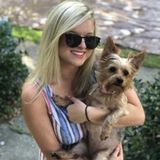 Hey everyone, I am a experienced pet sitter looking for more fur babies to keep!