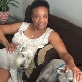 For Hire: Caring House and Petsitter in North Las Vegas, Nevada